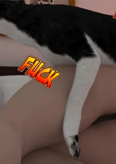 Night attack (24)