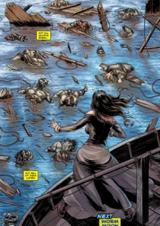 Fire and Fury3 (18)