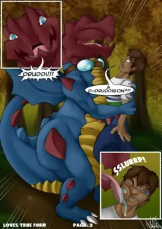 Pokemon - Love's True Form Pokemon – Love’s True Form