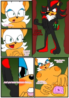 Shadow & Rouge018