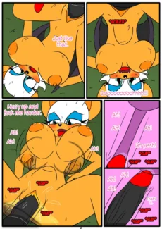 Shadow & Rouge019