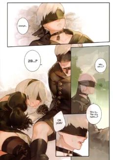A29S2B (4)