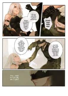 A29S2B (9)