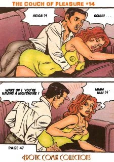 Couch of Pleasure 14049