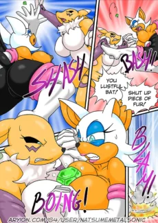 Rouge VS Bat005
