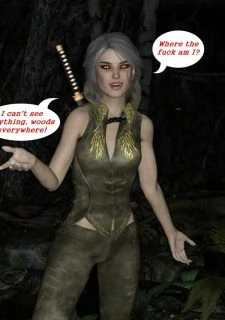 Traveller (4)