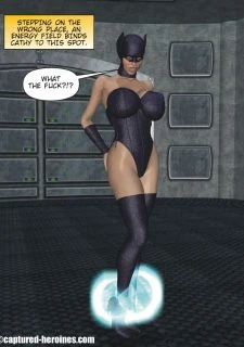 Feline Returns013