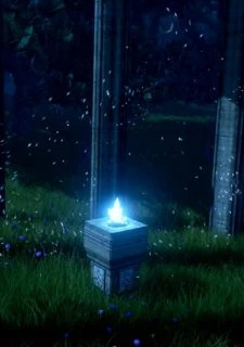Mysterious Ritual (11)