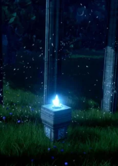 Mysterious Ritual (11)