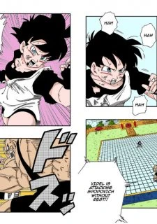 Videl002