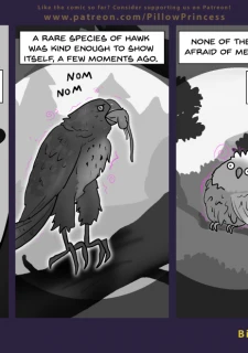 Pg49_BirdWatching_Pt39