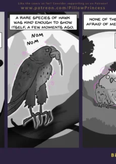 Pg49_BirdWatching_Pt39