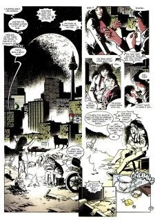 The Losers024
