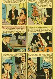 Crime Smashers! 1016