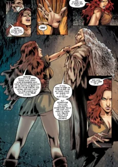 Fire and Fury #9 (13)