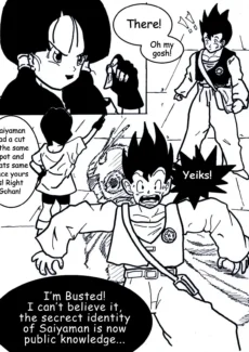 Flying Nimbus004