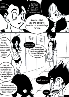 Flying Nimbus006