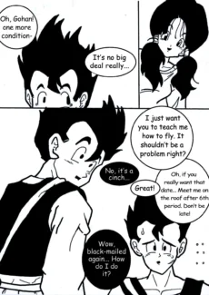 Flying Nimbus009