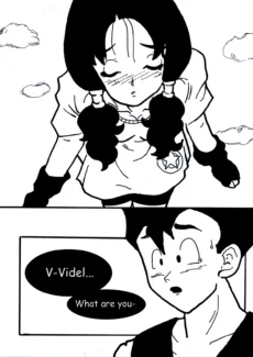 Flying Nimbus016