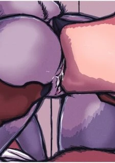 Imageset011