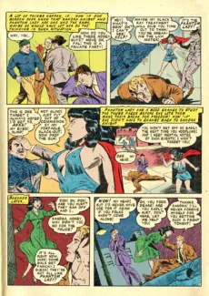 Phantom Lady003