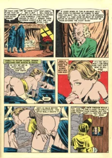 Phantom Lady018