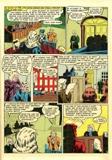Phantom Lady019