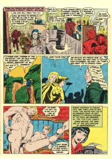 Phantom Lady021