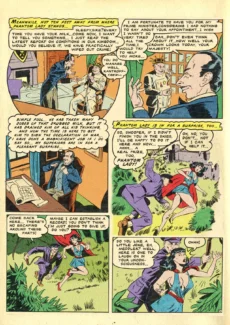 Phantom Lady033