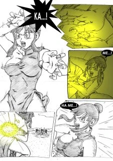 Training of Chichi028