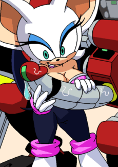 Rouge the Bat003