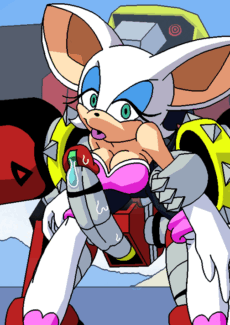 Rouge the Bat005