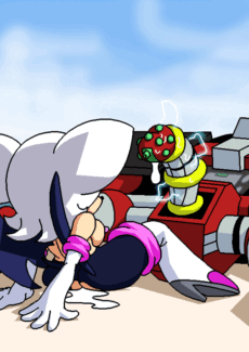 Rouge the Bat037