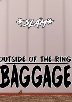Baggage (9)