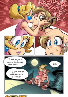 Hero of Hyrule (15)