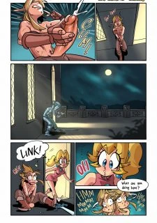 Hero of Hyrule (6)