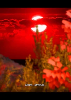 MOONLIT WILDERNESS017