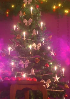 Magic_Christmas_019