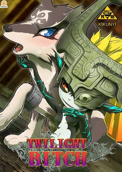 Twilight Bitch Kicknyi – The Legend of Zelda