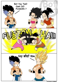 Fusion Battle003