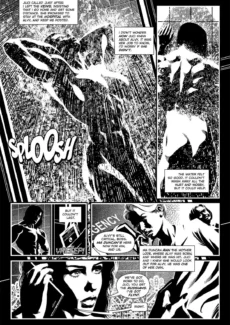 Stone Cold2 (11)