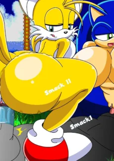 Sonic and Tails Series003