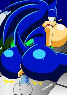 Sonic and Tails Series008
