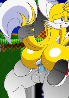 Sonic and Tails Series013
