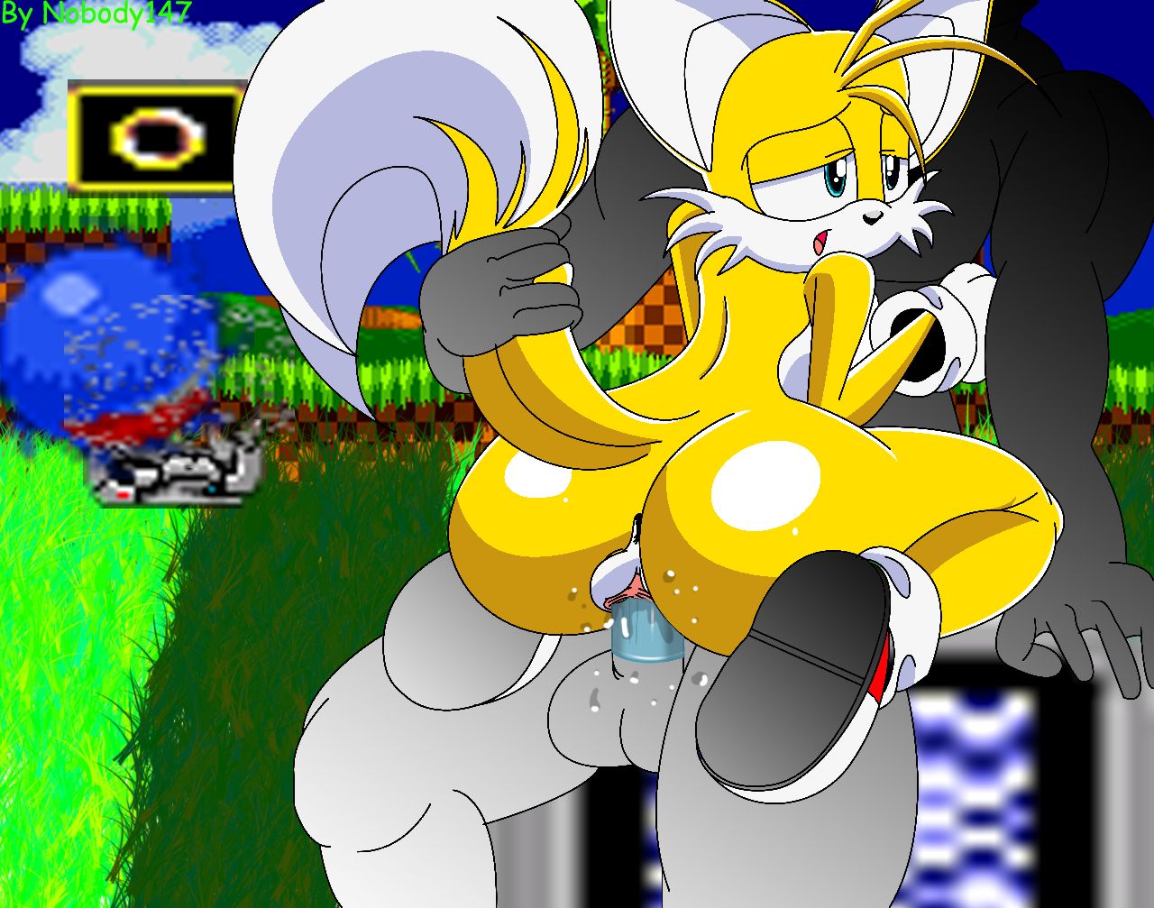 Sonic and Tails Series (Sonic The Hedgehog) 18+ Porn Comics