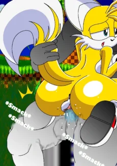 Sonic and Tails Series014