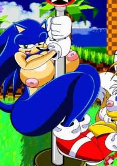 Sonic and Tails Series018