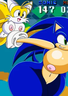 Sonic and Tails Series019
