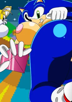 Sonic and Tails Series020