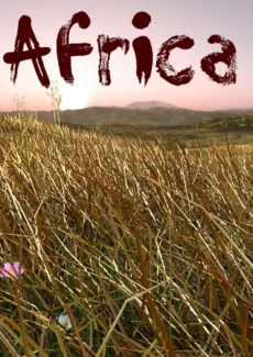 The Sorority – Chase Against Time 13 (35)
